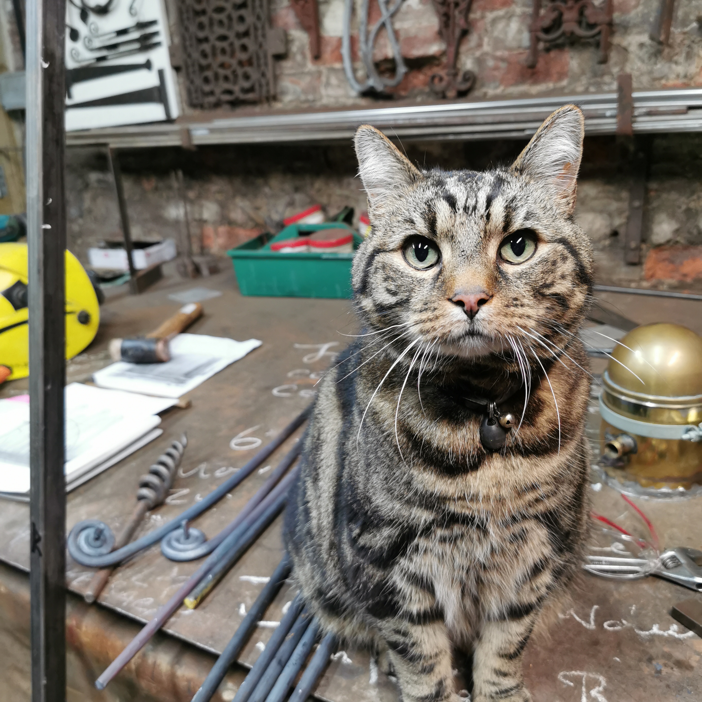 All_works_considered_with_a_little_help_from_our_friends_in_the_workshop.jpg
